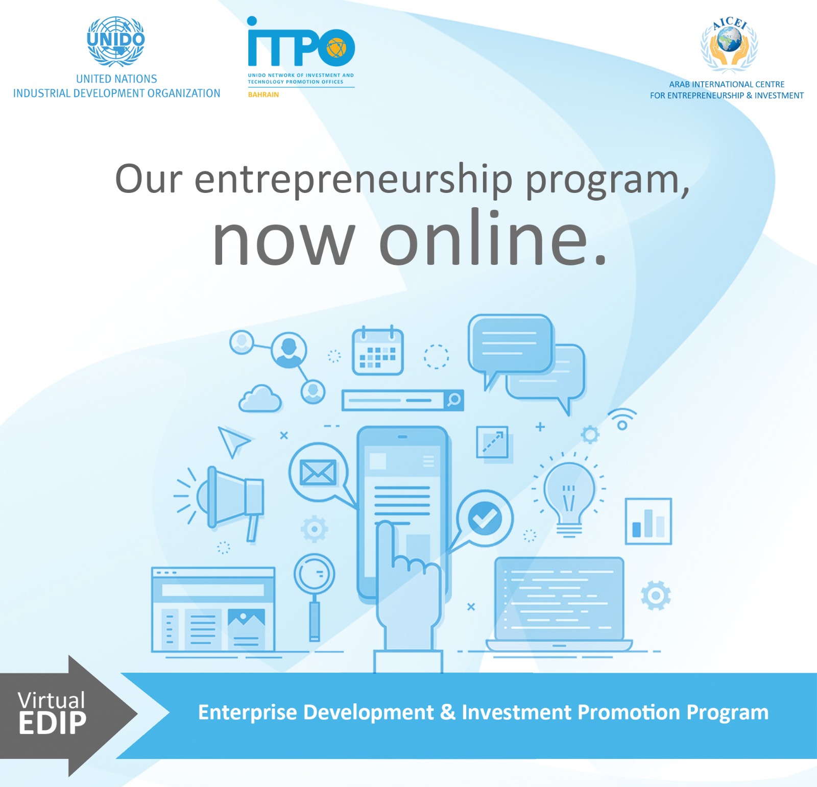 Virtual Enterprise Development & Investment Promotion Program